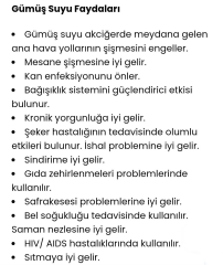 Naturel Power %100 Kolloidal Gümüş Suyu Dezenfektan Sprey 100 ml