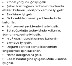 Naturel Power %100 Kolloidal Gümüş Suyu Dezenfektan Sprey 100 ml