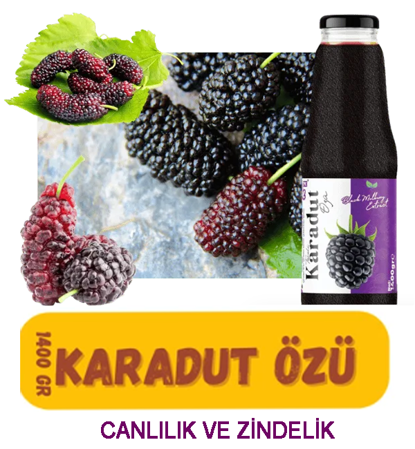 KADİRZADE KARADUT ÖZÜ TANELİ 1400 GR