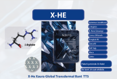 X-He Xaura Global Transdermal Bant TTS ( 30 Adet )