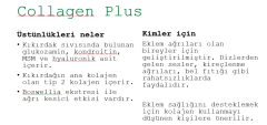 Sayvera Proftürker Collagen Plus 30 Şase
